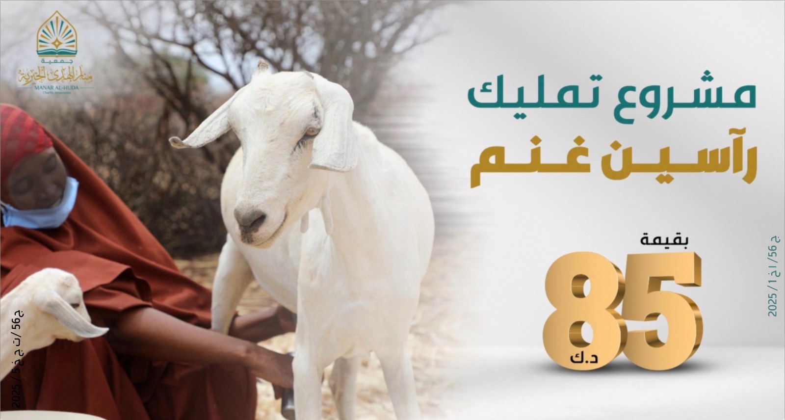 صورة مشروع تمليك رآسين غنم
