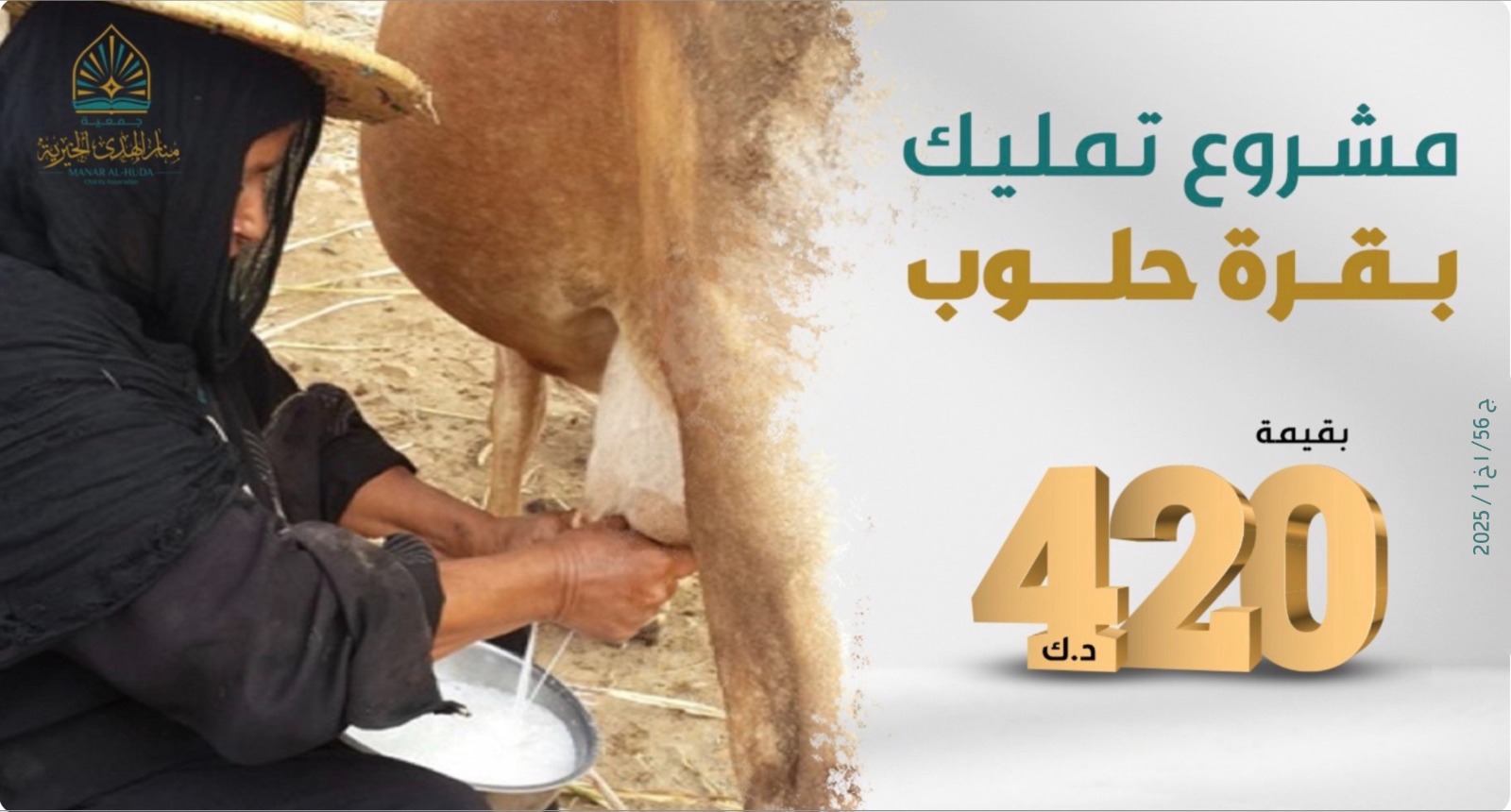 صورة تمليك بقرة حلوب